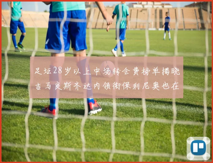 足坛28岁以上中场转会费榜单揭晓吉马良斯齐达内领衔保利尼奥也在列