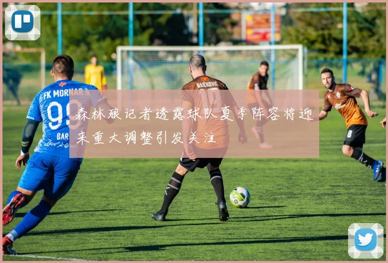 森林狼记者透露球队夏季阵容将迎来重大调整引发关注