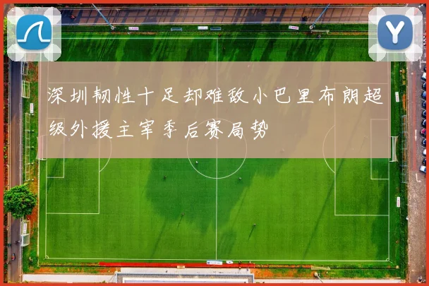 深圳韧性十足却难敌小巴里布朗超级外援主宰季后赛局势